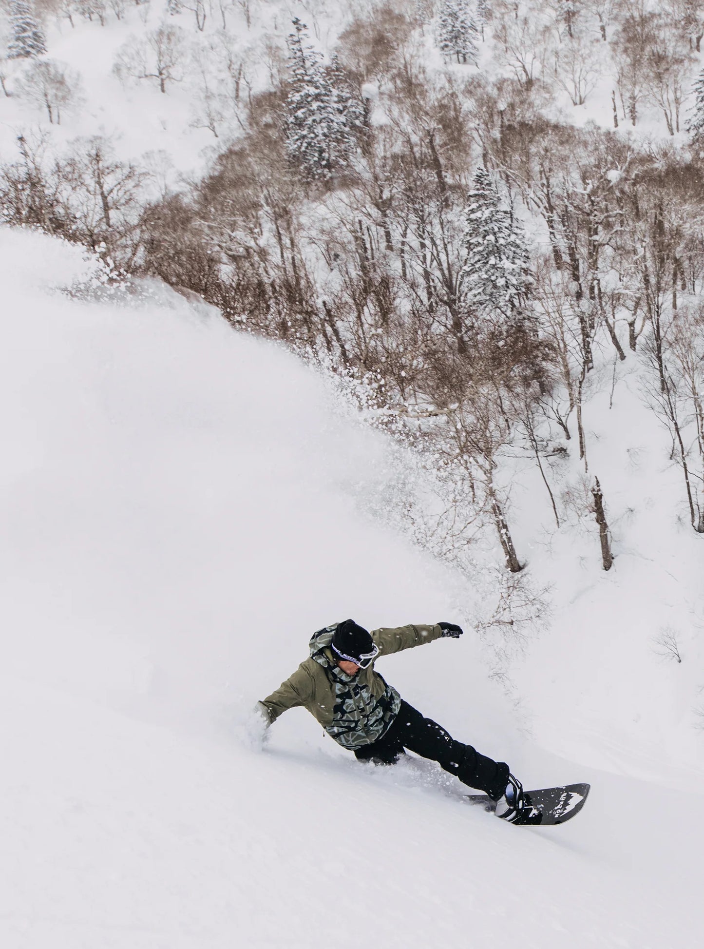 2297:GIACCA BURTON RESERVE FOREST