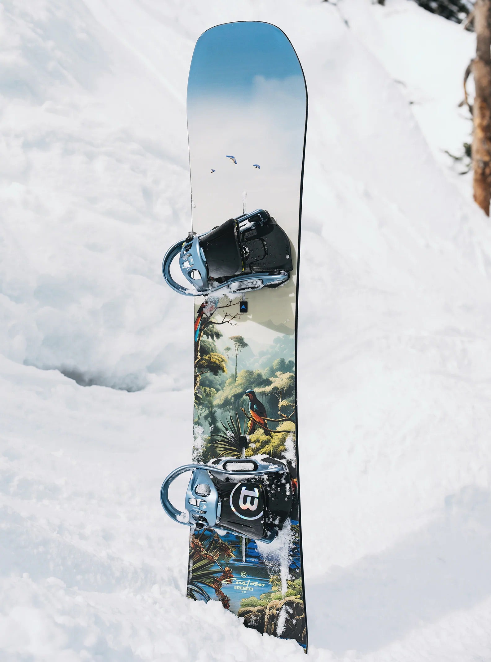 2483:SNOWBOARD BURTON CUSTOM JUNGLE