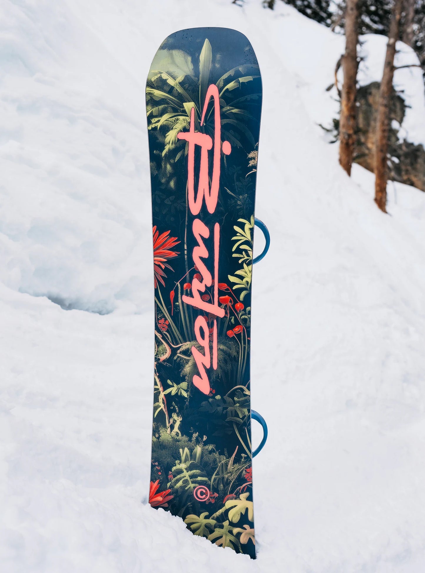 2484:SNOWBOARD BURTON CUSTOM JUNGLE