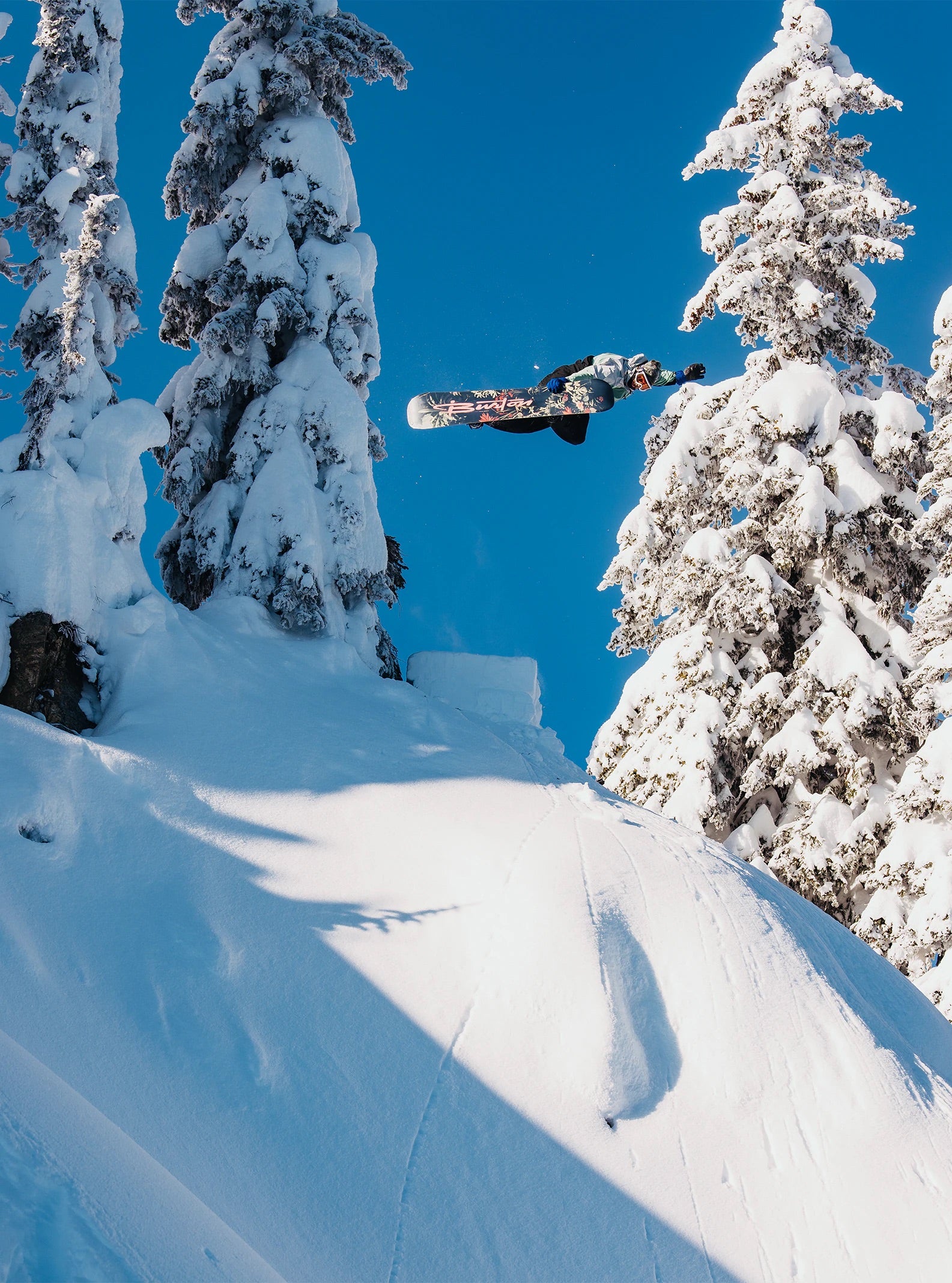 2486:SNOWBOARD BURTON CUSTOM JUNGLE