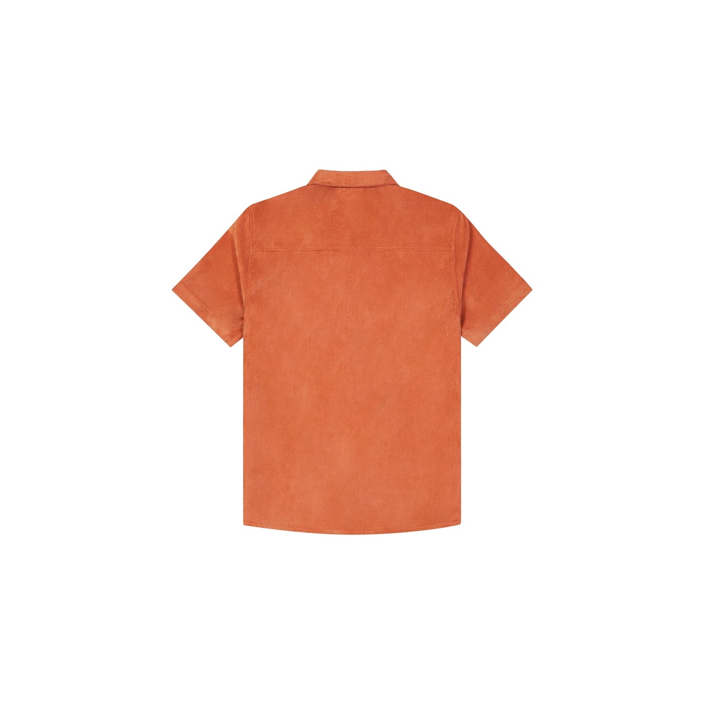 5362:CAMICIA PICTURE NOLLUR VELLUTO ORANGE