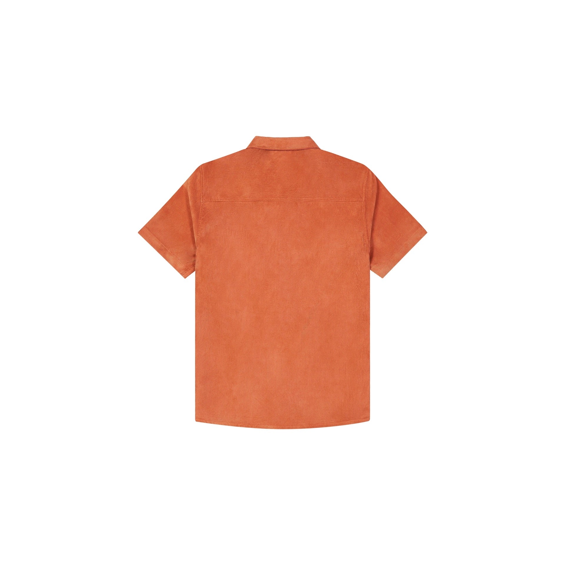 5362:CAMICIA PICTURE NOLLUR VELLUTO ORANGE